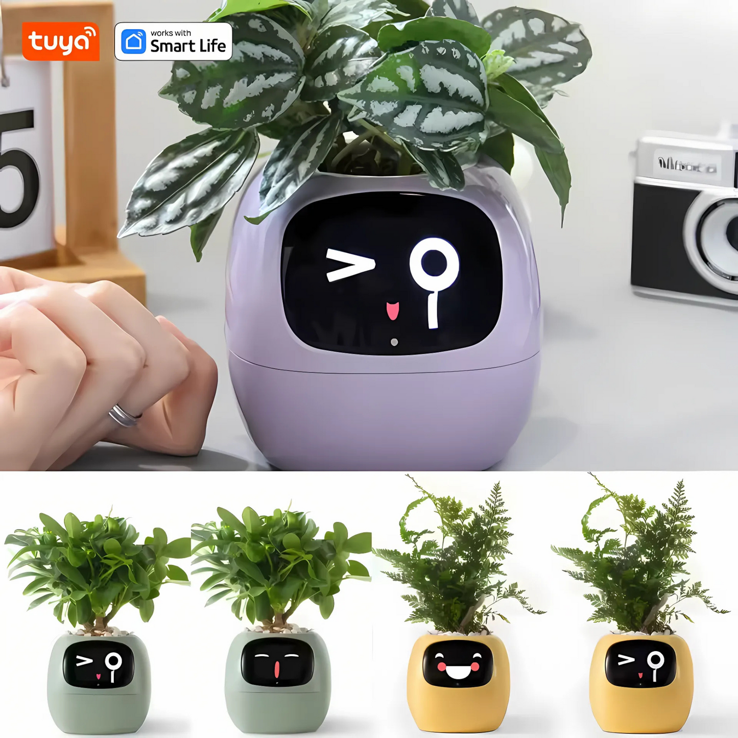 Smart AI Ivy Planter