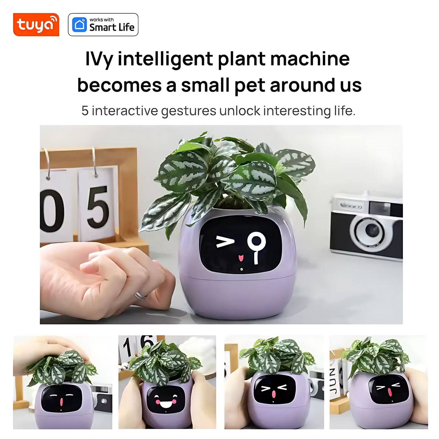 Smart AI Ivy Planter