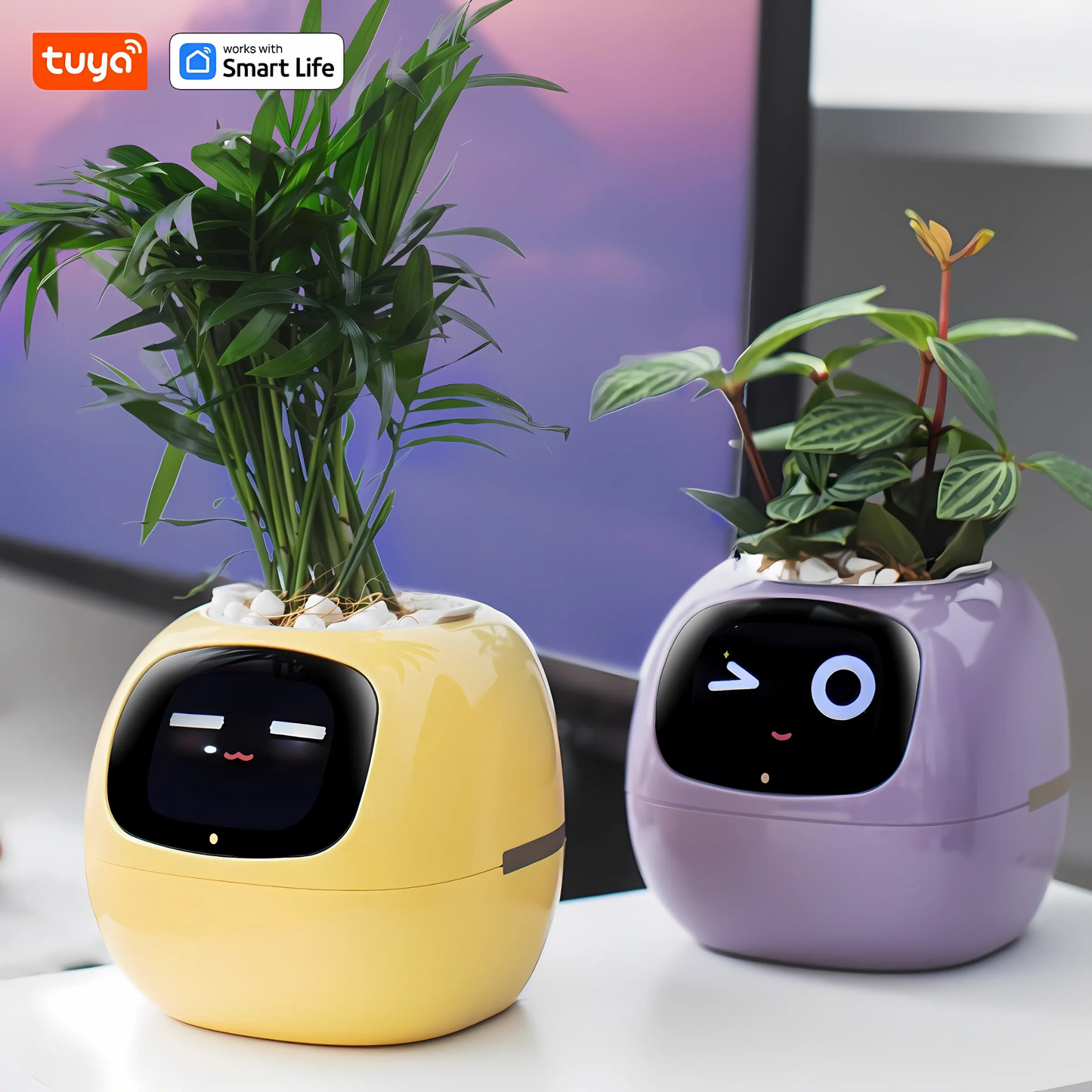 Smart AI Ivy Planter