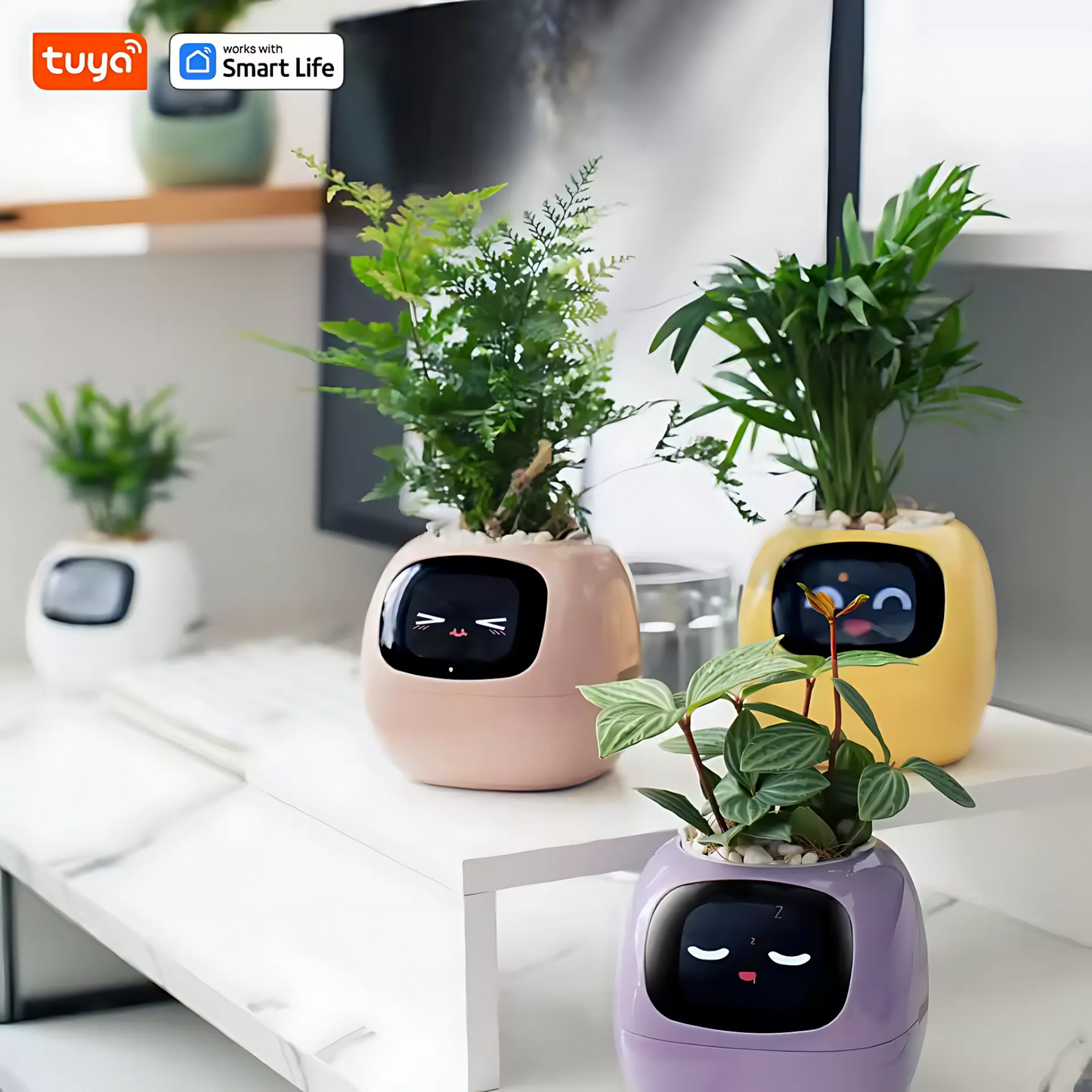 Smart AI Ivy Planter
