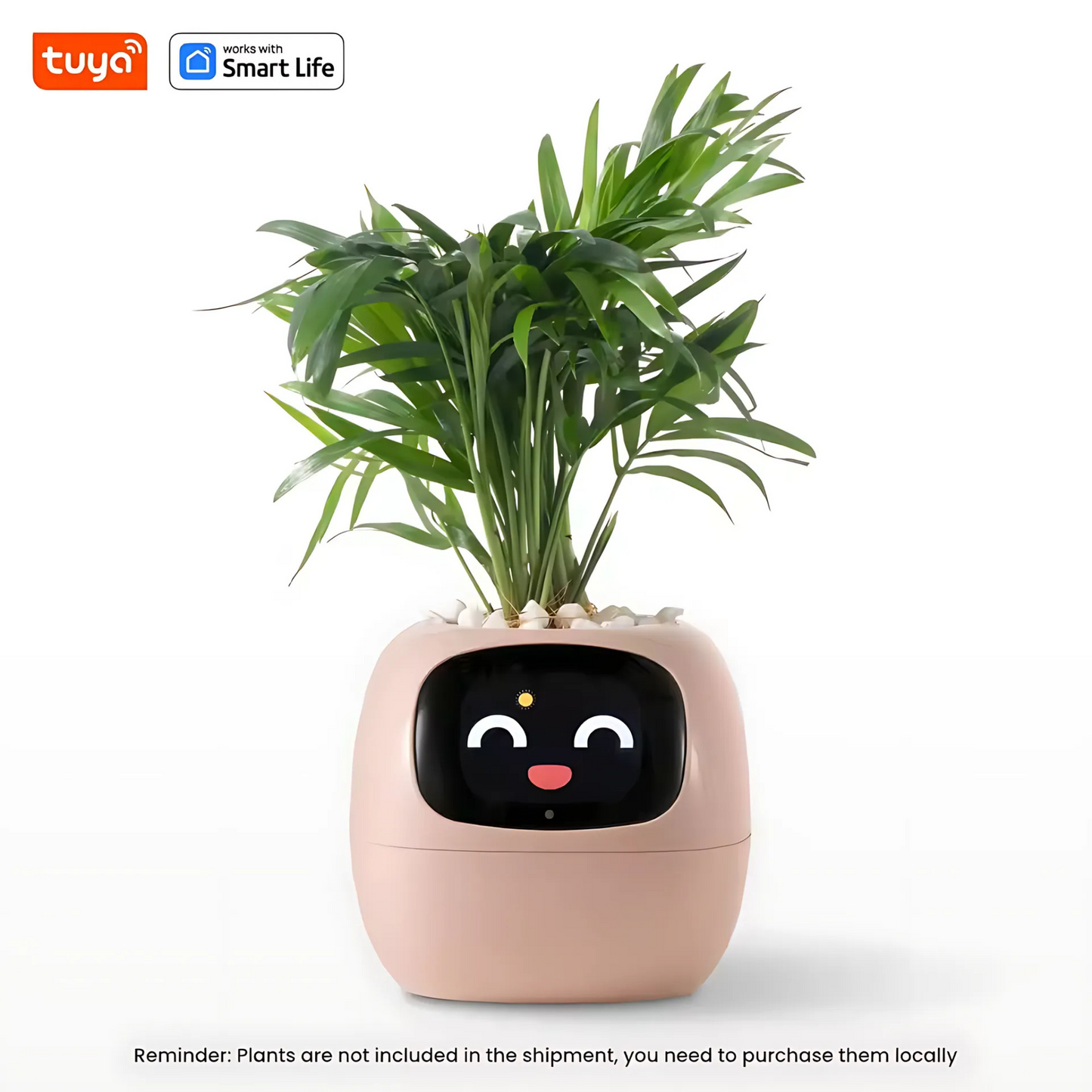 Smart AI Ivy Planter