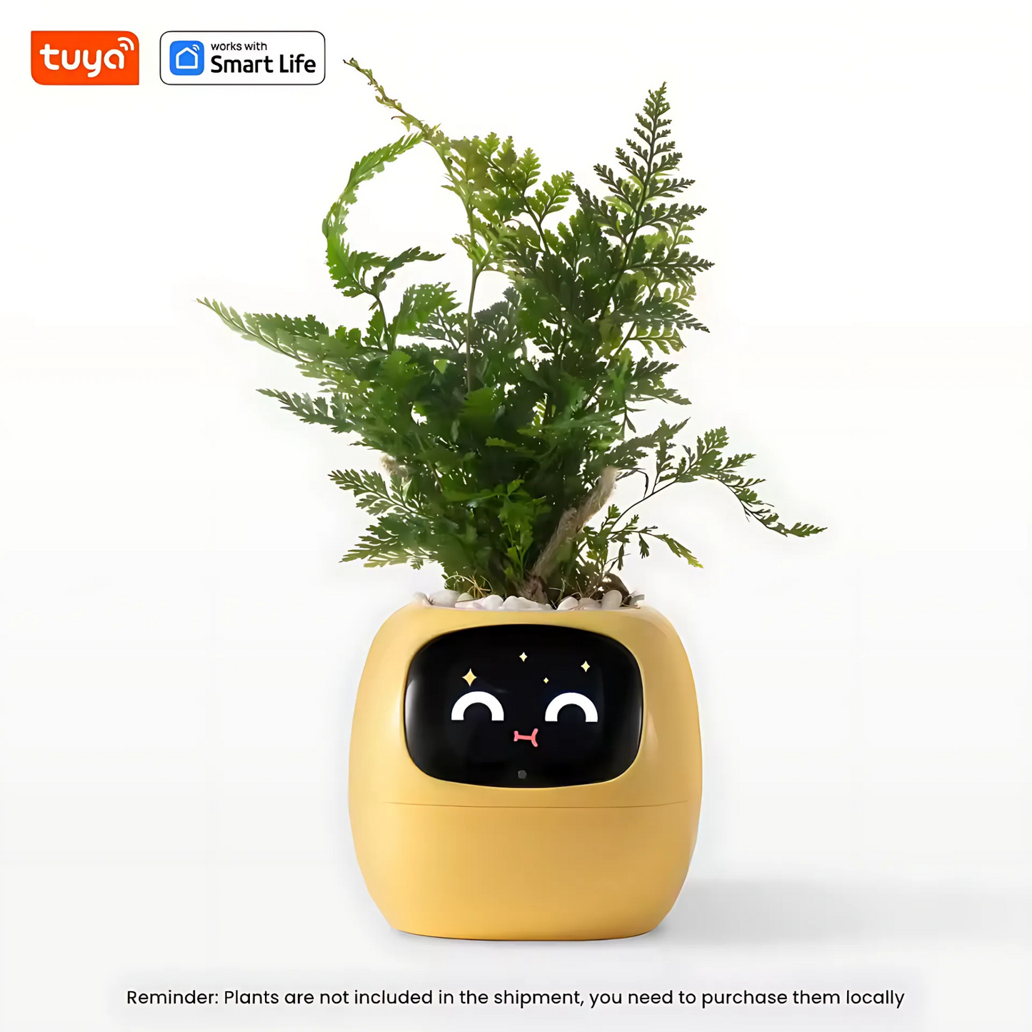 Smart AI Ivy Planter