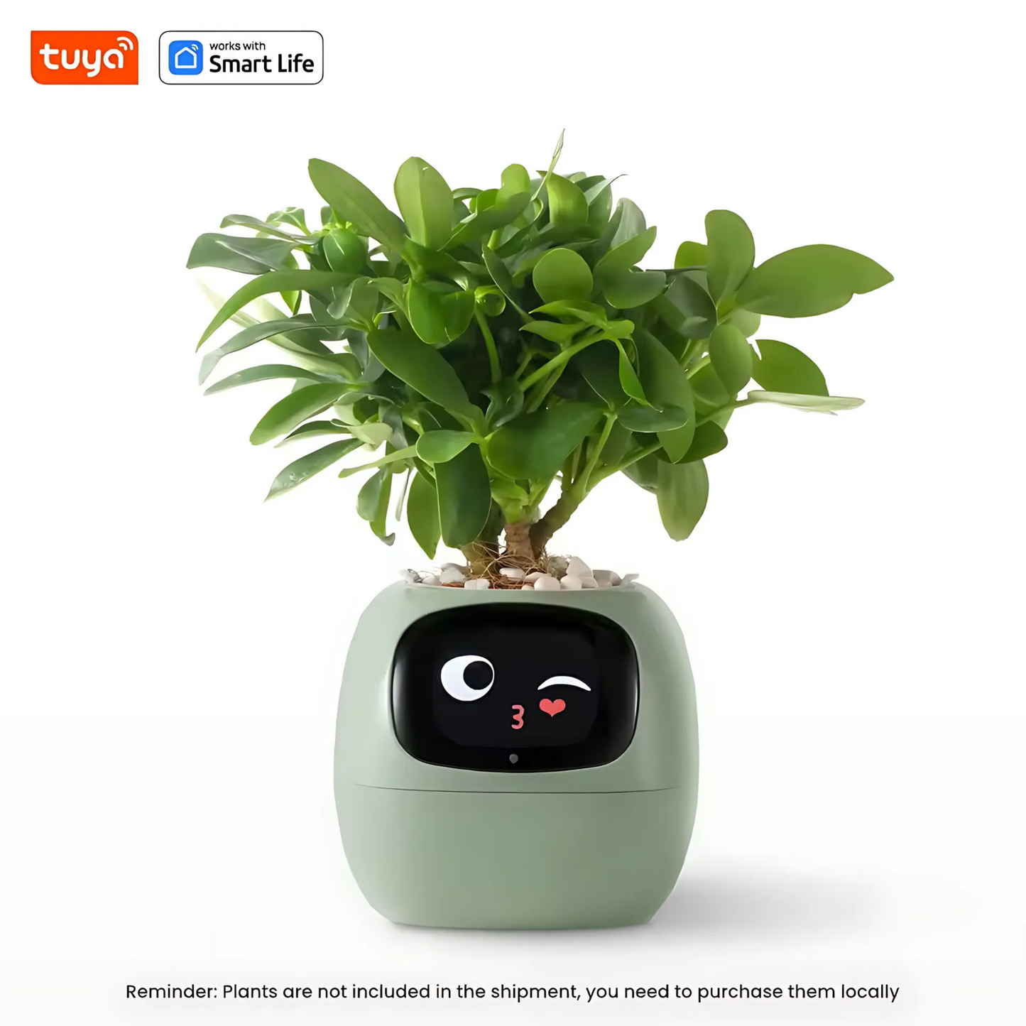 Smart AI Ivy Planter