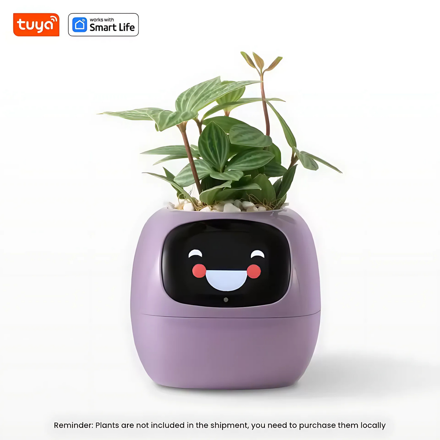 Smart AI Ivy Planter