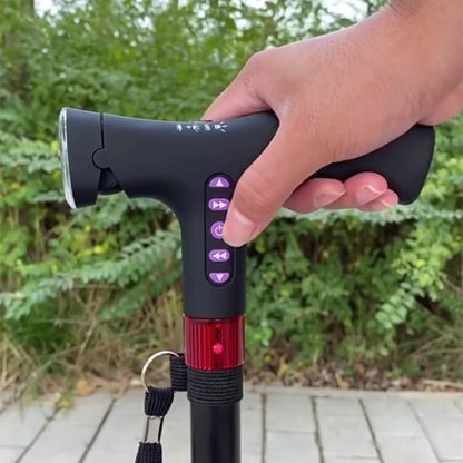 Smart Walking Cane.